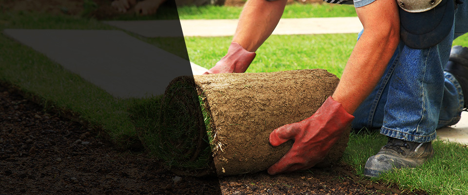 Arp Landscapers